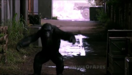 Dawn Of The Planet Of The Apes Official Movie Clip - Koba's Weapon (2014) Andy Serkis HD