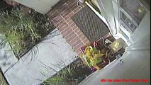 UPS Guy Steals iPad Mini Dropped by Fedex