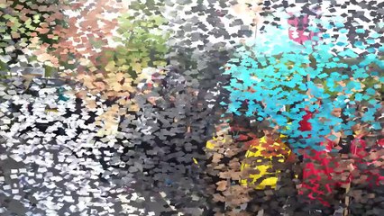 VIDEO Tournoi international de Dirinon