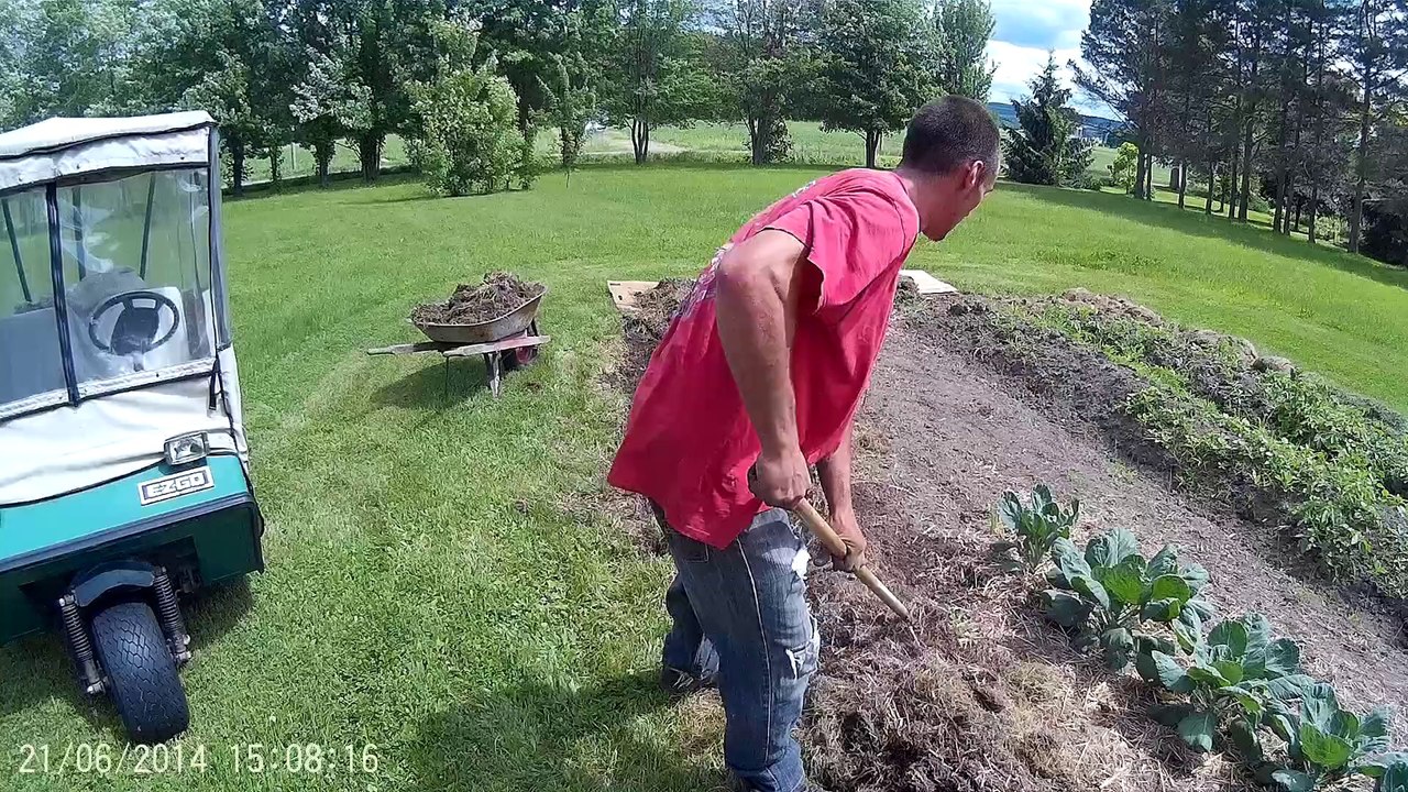 21 Juin 2014, Monique et Pascal dans le potager...