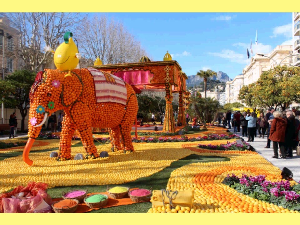 Les fêtes du citron