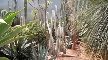 ORNICARD - Mes playbacks partie deux beat Gramatik & Eskobars