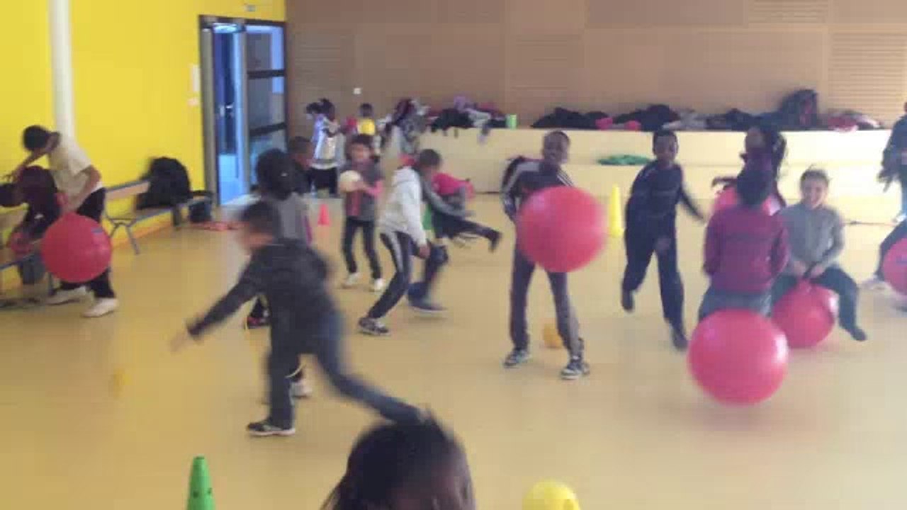 Harlem Shake Dulcie