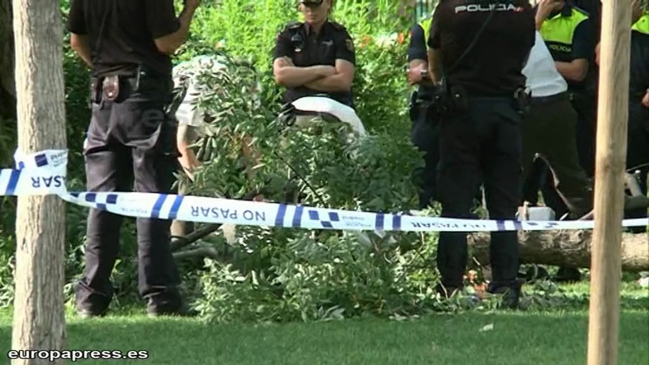 Muere tras caérle encima una rama de un árbol en El Retiro