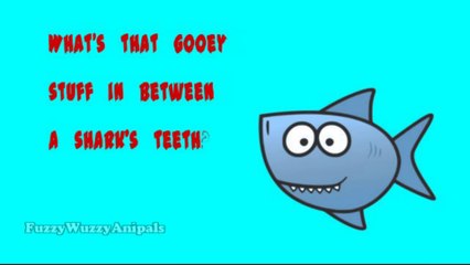 Kids Jokes 8 Shark