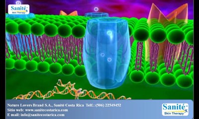 1- Sanite - Las tres funciones principales