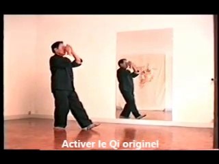 QI-GONG - STYLE TRAN KINH Tél 01 45 77 30 78