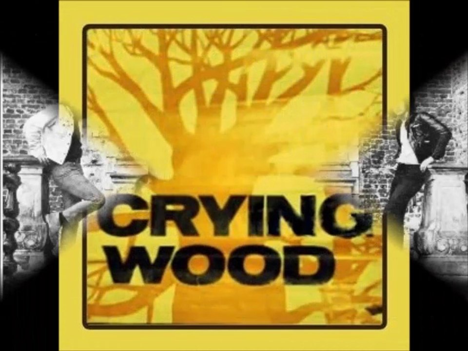 Crying Wood "Stone Desert" 1970 Dutch Psych Rock