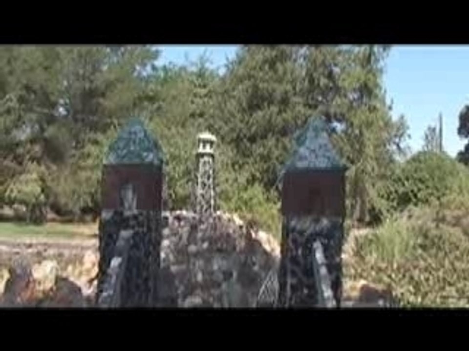 Petersen Rock Garden #2 Bullfrog