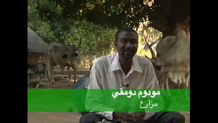 L'ITRAD ET SEMENCES AGRICOLE AU TCHAD - SUR TOL