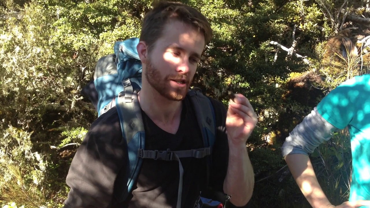 Avalanche Peak