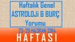 HAFTALIK Genel Burç ve Astroloji Yorumu, 23-29 Haziran 2014, Astroloji uzmanı Demet Baltacı