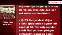 TBMM Raporu: IŞİD'e Körfez Bölgesi Destek Çıkıyor