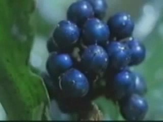 Mirac İsra Belgesel izle Part2