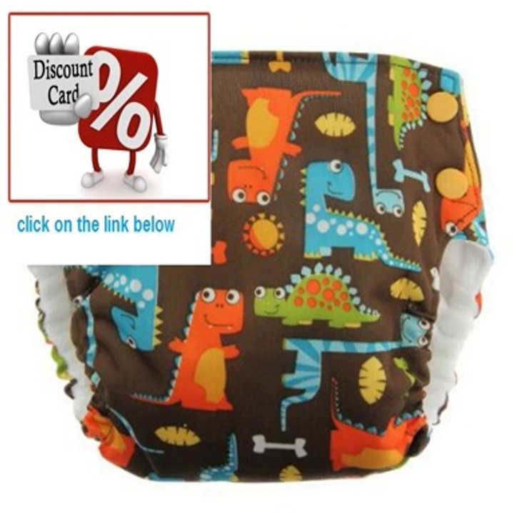 Cheap Deals Blueberry Side Snap Simplex All in One Diapers, Dino Party, Large Review
