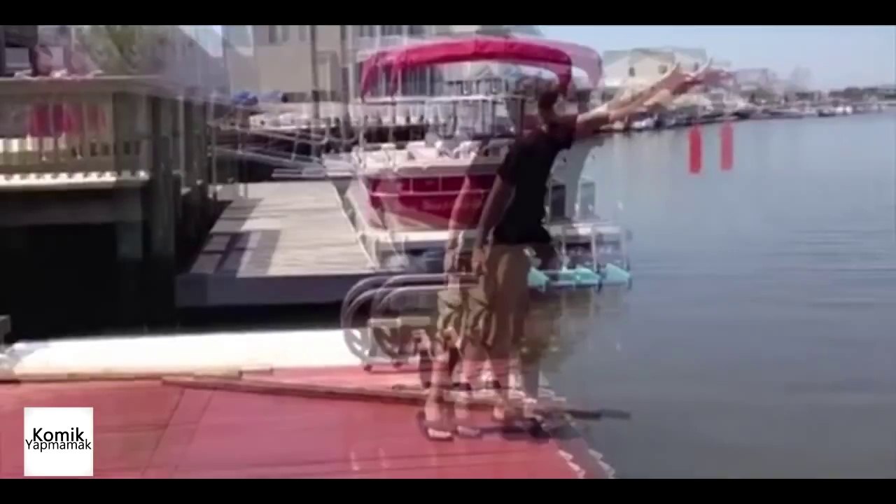 Komik hayvanlar - Funny Animals Compilation 2013