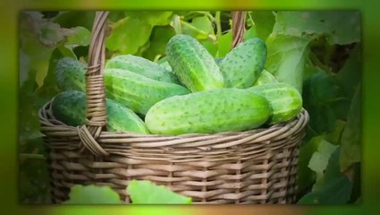 TRULY HEAL bladder cancer