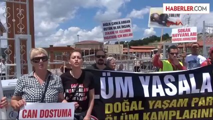 Hayvanseverlerden "Ölüm Kampı" Dedikleri Rehabilitasyon Merkezi Önünde Protesto Gösterisi