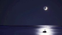 Bossa Nova Jazz Instrumental: 'Luar sobre o mar - Moonlight Over The Sea' (Official Music Video)