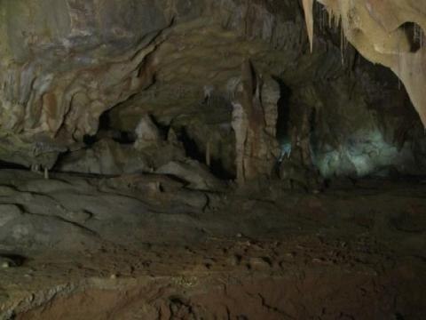 Visite guidée de la Grotte Chauvet, inscrite au patrimoine mondial de l'Unesco - 22/06