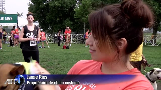 Insolite: des centaines de chiens déguisés, mais pas de record