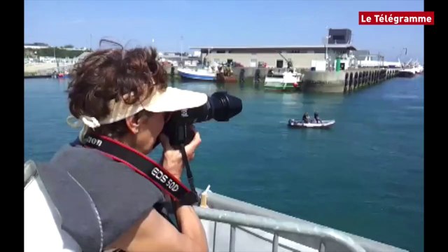 La Solitaire du Figaro. Les 38 concurrents quittent Roscoff pour Les Sables d'Olonne