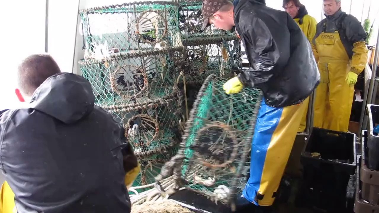 Reportage en mer sur un chalutier de Boulogne-sur-Mer