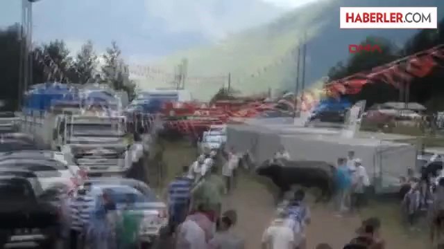 Boğalar Seyircilerin Arasına Daldı