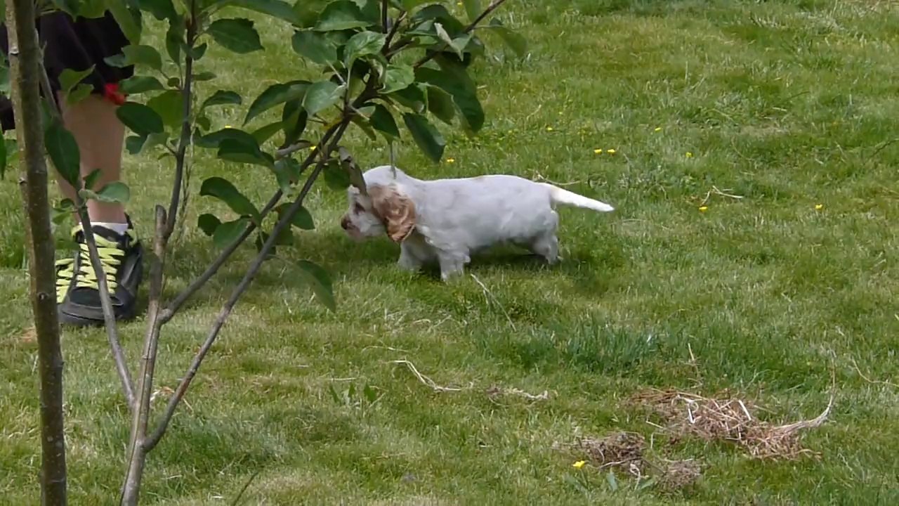 Joyce dans le jardin