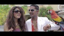 V.I.P , Ali Gul Pir (Official Music Video)