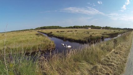 De la plage au marais salant