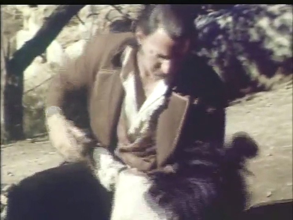 Cry Blood Apache