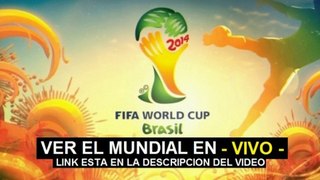 Ver ECUADOR vs FRANCIA En Vivo Mundial Brasil 2014 25 de Junio 2014