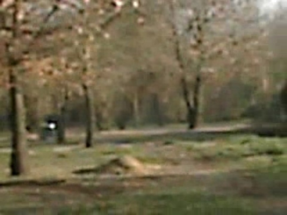 Quad sur tlse