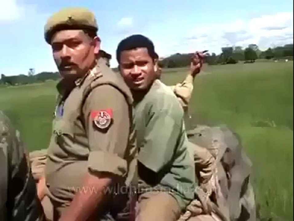 dangerous