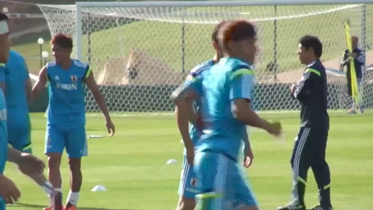 WM 2014: Kagawa: 'Kann Mannschaft nicht helfen'