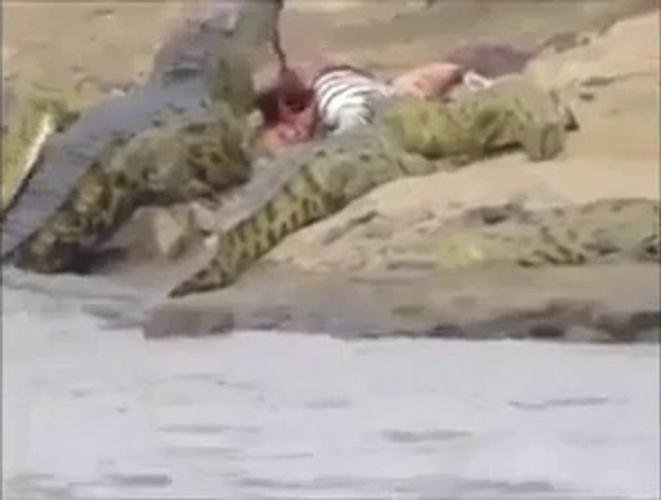 An Amazing video...Must Watch