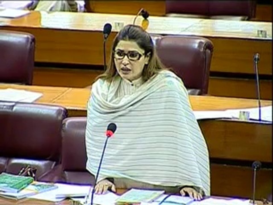 SHAZIA MARI (BUDGET SESSION REMARKS) 21-June-2014