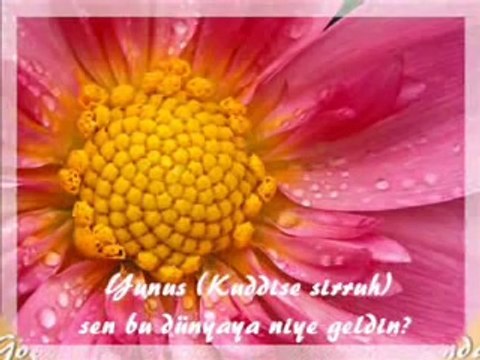 Göçtü Kervan Kaldık Dağlar Başında