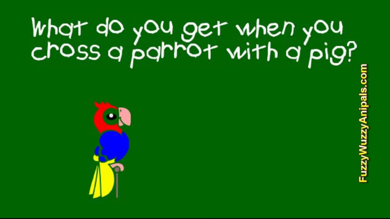 Kids Jokes 15 Pig