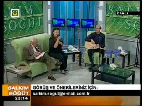 YILDIZ ÇAM - YEŞİL YAPRAK ARASINDA KIRMIZI GÜL GONCASI
