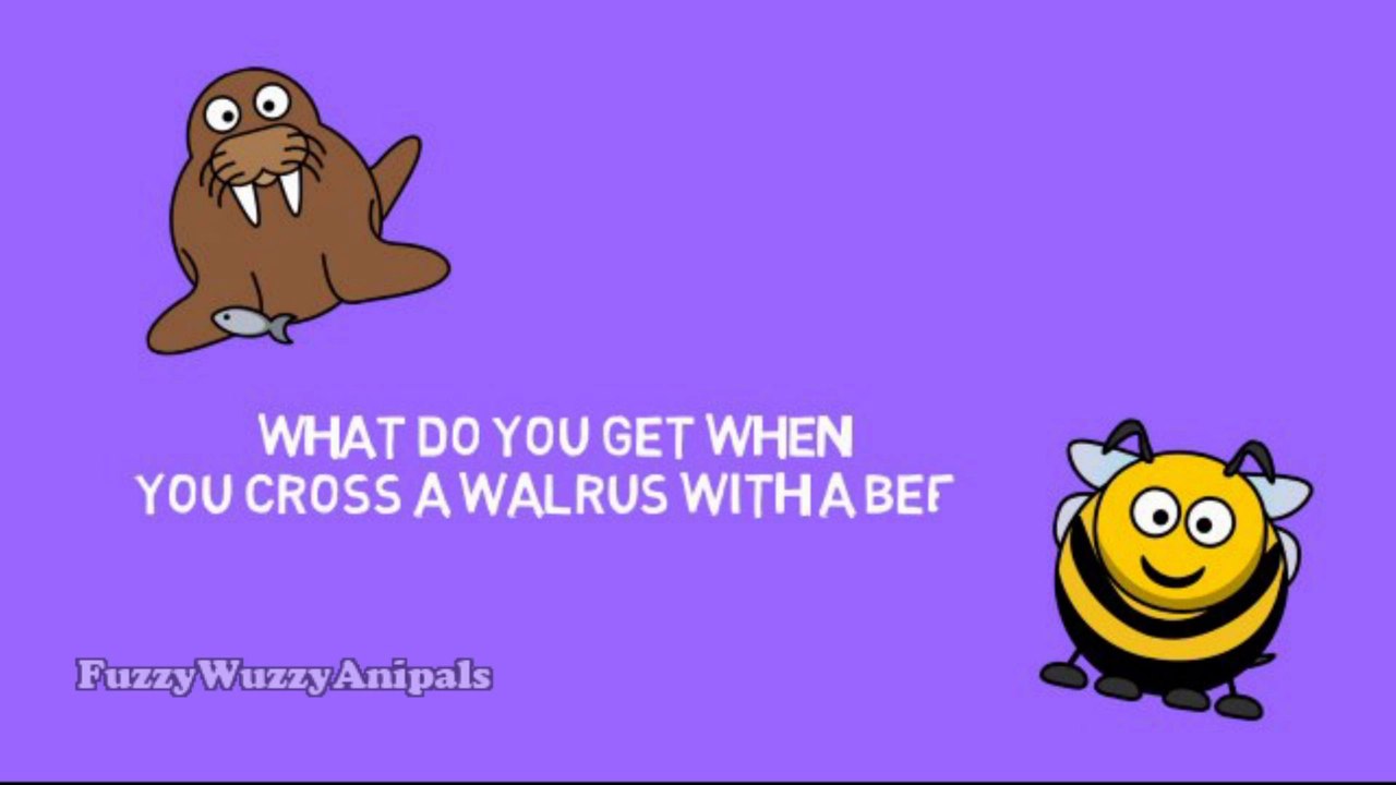 Kids Jokes 19 Walrus