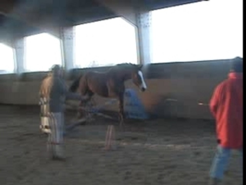 micka sur 1.25m