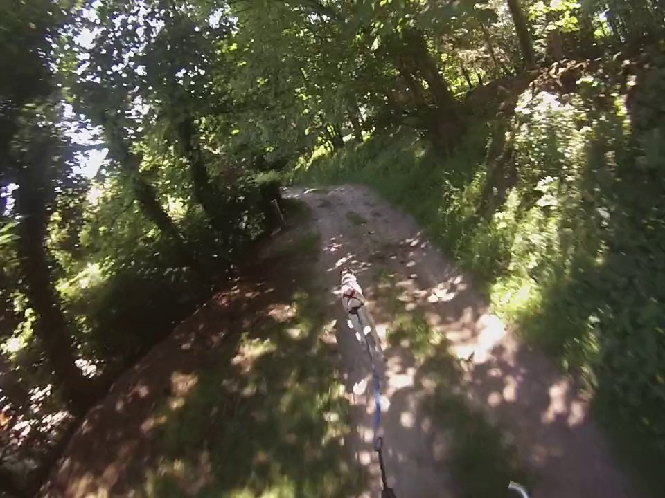 cani vtt