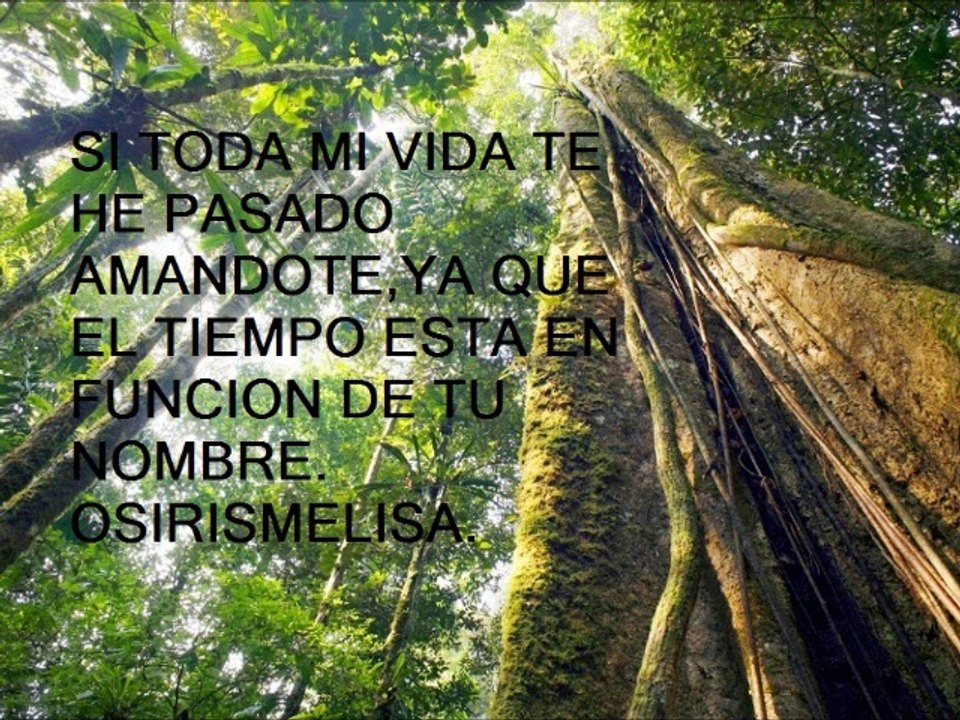 OSIRISMELISASENTIMIENTOS-38