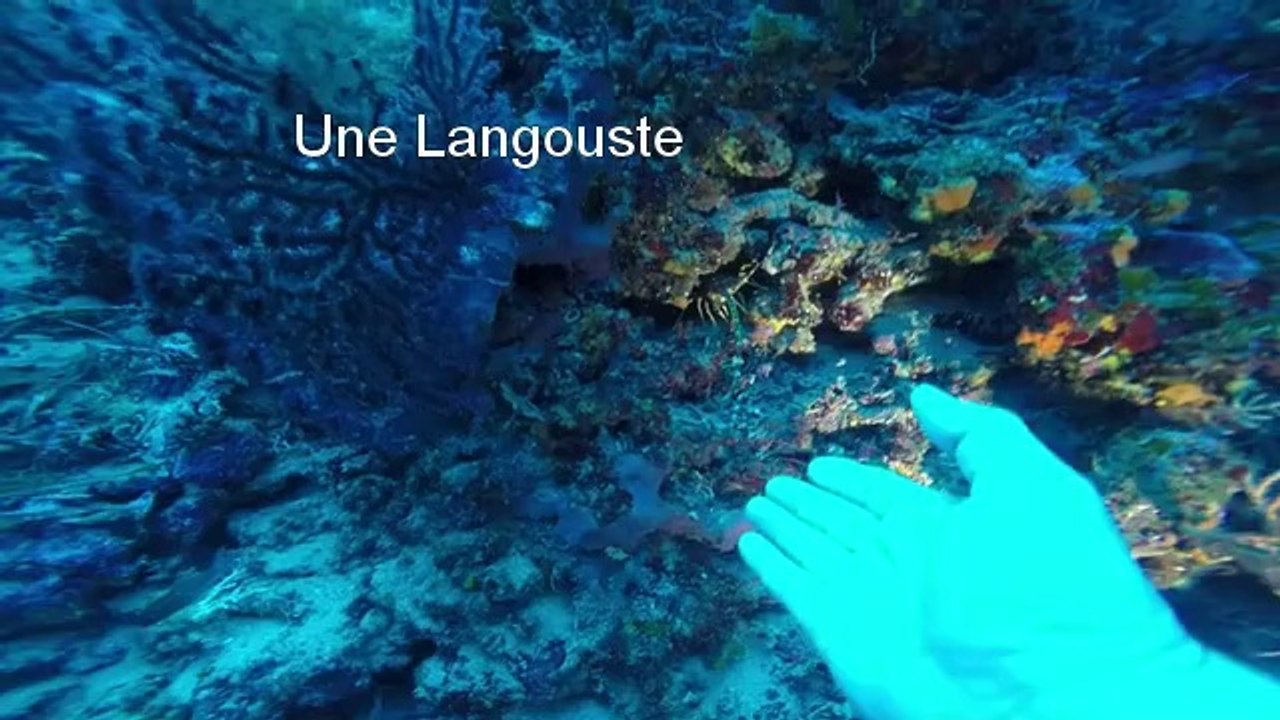 Plongée 436 100ème en recycleur  - La 3 en 1 - Messerschmitt-Tombant-Dalton - Marseille - Faible Resolution