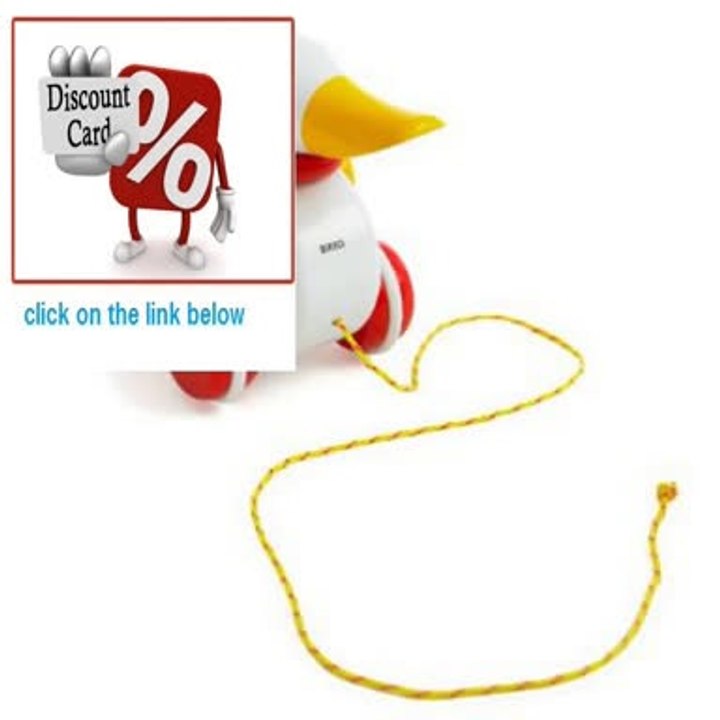 Discount Brio Pull Along Duck Baby Toy Review