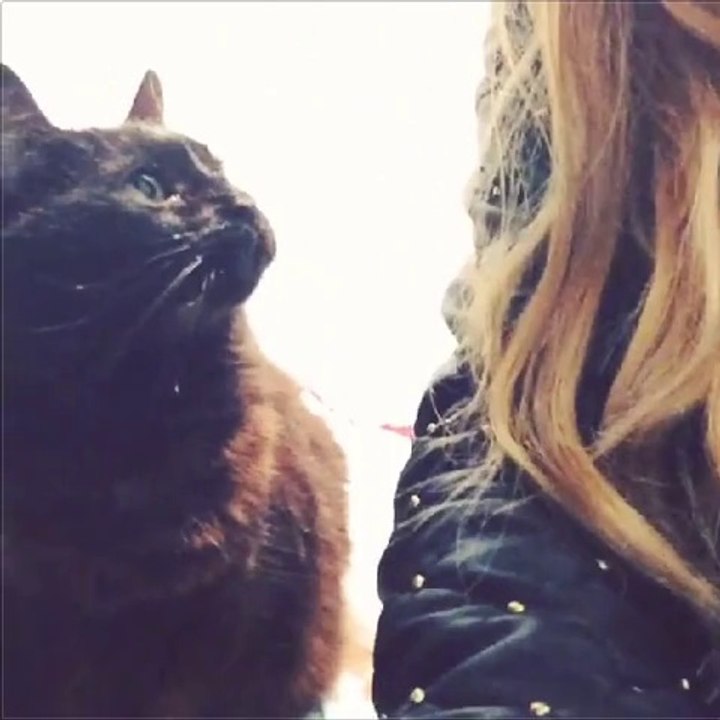 Clarinha e Gustavo CAT