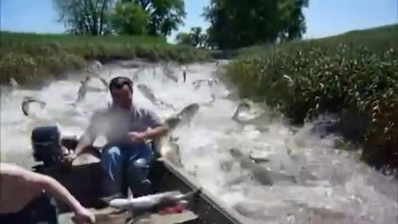 Viral fishing