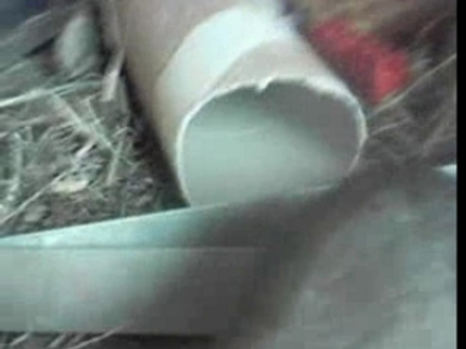 Hans se bat avec son lit